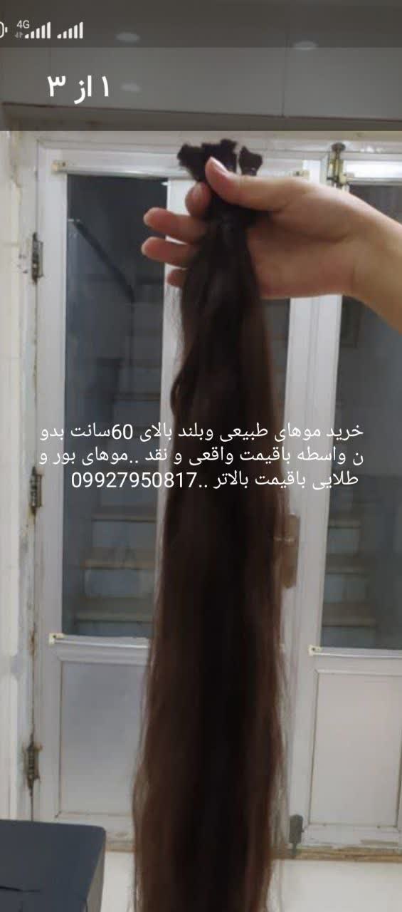 خریدار موهای طبیعی وبلند بالای 60سانت بدون واسطه نقد روی سر به شما قیمت داده میشود و قبل از کوتاهی مبلغ برای شما واریز میشود ..هزینه ی کوتاهی شماهم رایگان 09917684377 @eshkabar