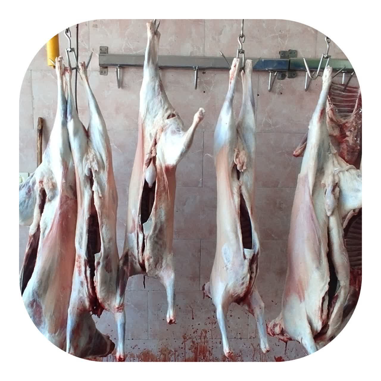 🐑 ذبح ۵ رأس گوسفند نذری، اهدایی مؤسسه خیریه انصارالحجه(عج)مشهد مقدس و توزیع بین خانواده‌های نیازمند عشق‌آباد به همت مؤسسه خیریه انصارالحجه(عج) مشهد مقدس و با همکاری کمیته امداد امام خمینی(ره) شهرستان عشق‌آباد، تعداد ۵ رأس گوسفند نذری به ارزش ۷۰۰ میلیون ریال ذبح و گوشت آن بین خانواده‌های نیازمند شهرستان عشق‌آباد توزیع شد. این اقدام خداپسندانه در راستای کمک به معیشت خانواده‌های تحت حمایت و نیازمند شهرستان انجام گرفت. کمیته امداد شهرستان عشق‌آباد ضمن تقدیر از همکاری و همیاری مؤسسه خیریه انصارالحجه(عج)مشهدمقدس، از همه خیران نیک‌اندیش برای مشارکت در طرح‌های نوع‌دوستانه دعوت به عمل می‌آورد. ✍️روابط عمومی کمیته امداد امام خمینی (ره) شهرستان عشق آباد @eshkabar