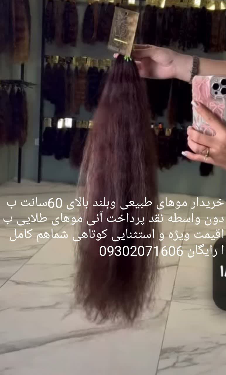 خرید موهای طبیعی وبلند به بالاترین قیمت و به صورت نقد قبل از کوتاهی مبلغ پرداخت میشود ..موهای بور و طلایی با قیمت استثنایی... 09302071606 @eshkabar