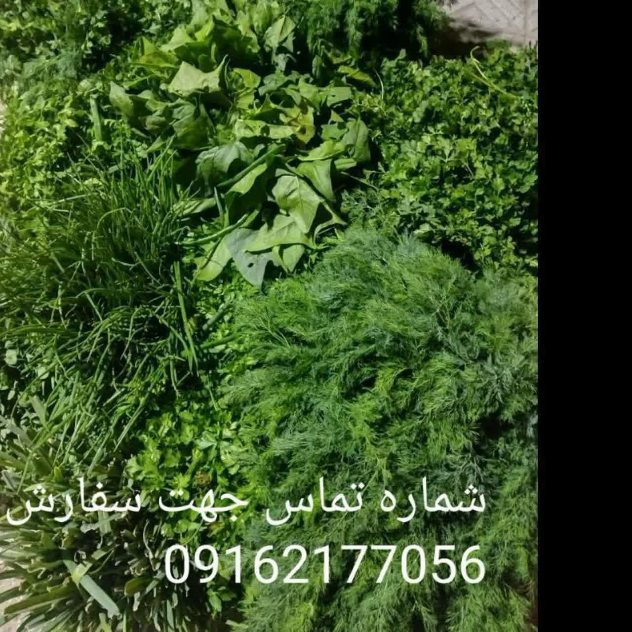 قیمت انواع سبزی 🌸سبزی تازه خورشتی، کوکویی ، پلویی کیلویی35000تومان🌸 🌸سبزی خورشتی سرخ شده بسته بندی با نایلون سلفونی پرس شده کیلویی 150000تومان🌸 سبزی سوپی کیلویی 40000تومان کلی و جزئی عزیزان گروه توجه توجه شوید ، شویدجهت خشک کردن موجود هست فقط و فقط کیلویی 25000تومان سفارش بالای 50 کیلو ❤️ سبزی تازه خورشتی پاک کرده ‌خورد شده کیلویی90000تومان ، بسته بندی با نایلون سلفونی پرس شده کیلویی 100000تومان سبزی کوکویی آماده خورد شده کیلویی 90000 تومان , بسته بندی با نایلون سلفونی پرس شده کیلویی 100000تومان سبزی پلویی آماده خورد شده کیلویی 90000 تومان ، بسته بندی با نایلون سلفونی پرس شده کیلویی 100000 تومان سبزی سوپی خرد شده 80000 تومان سبزی بسته کوچک هم بخوان سفارش بالا جمع میکنیم 😍 سبزی خورشتی ، کوکویی، آشی پاک کرده کیلویی 90000 تومان جهت سفارش درمحصولات کشاورزی مزرعه https://eitaa.com/joinchat/1447429111C8244e3bebe شماره تماس جهت هماهنگی 09162177056 خانم بدرام @eshkabar