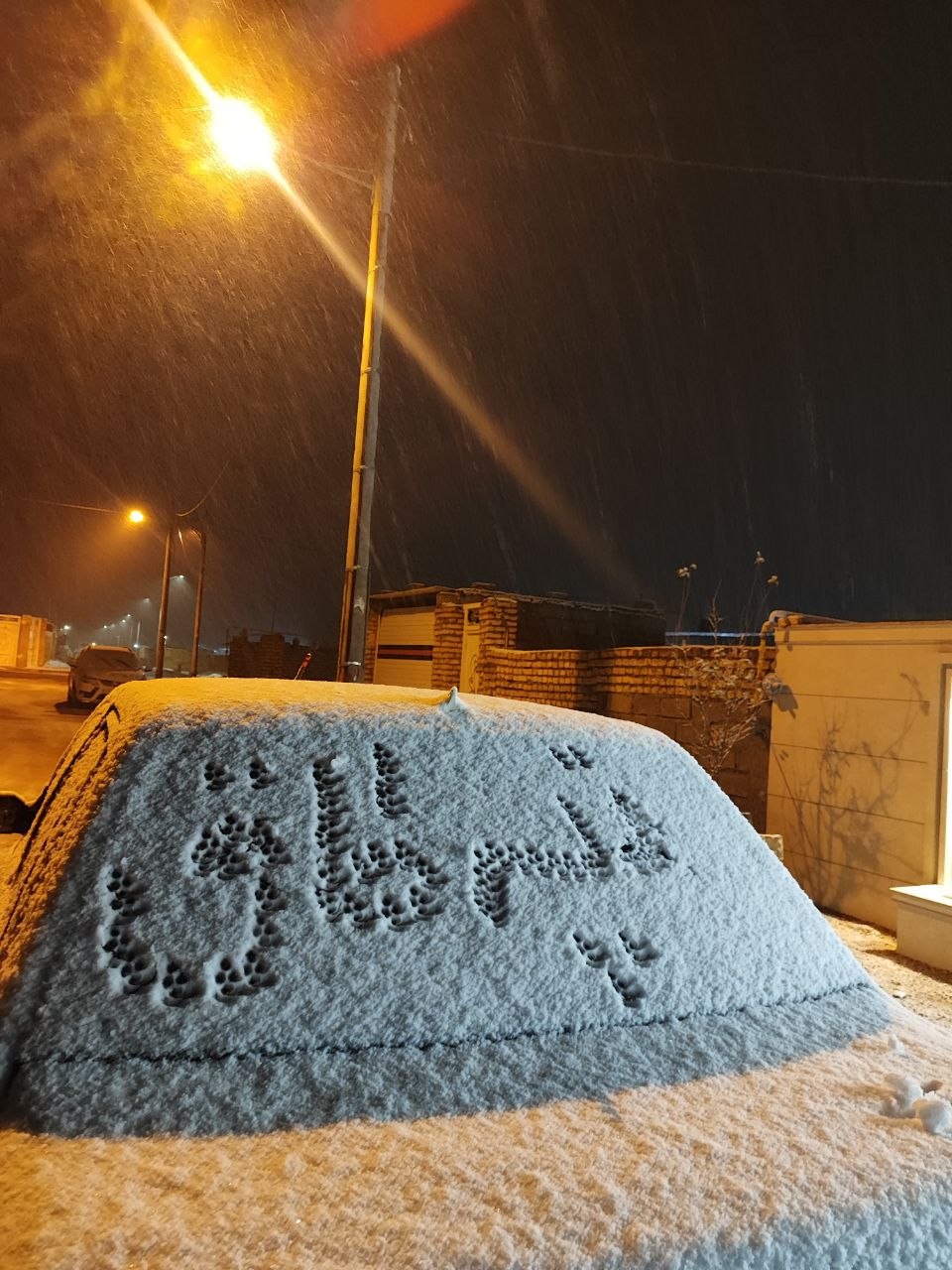 بارش برف هم اکنون روستای تپه طاق دی ماه ۱۴۰۴ ارسالی: سعید رستمی ❄️☃️⛄️❄️ @eshkabar