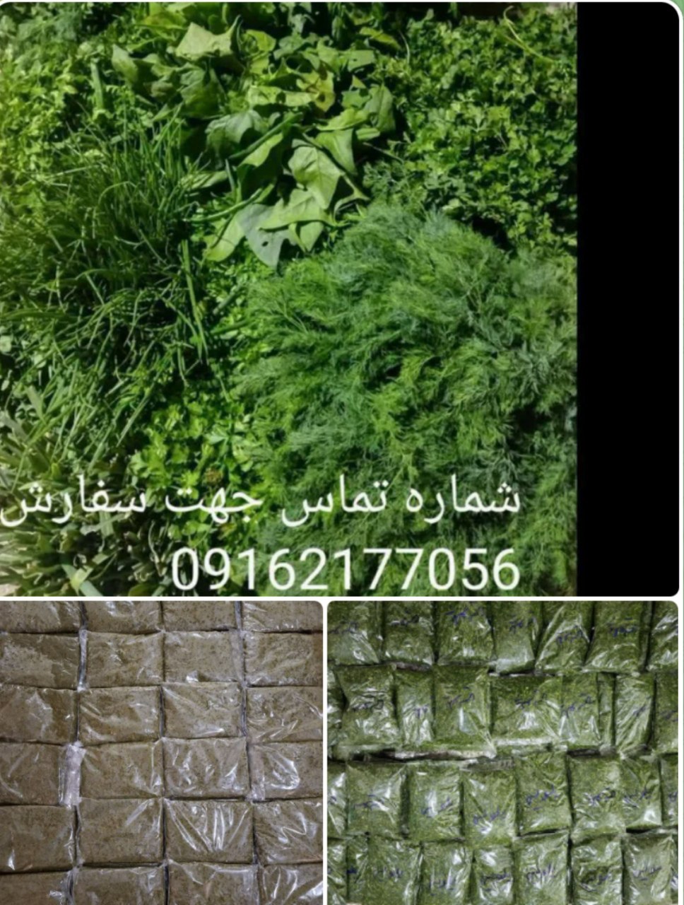 🌸 ،سبزی خورشتی و کوکویی و پلویی و آشی با قیمت استثنایی فقط و فقط کیلویی 30000 تومان 😳😱😍😍😍مدت محدود 🌸🌸🌸 🌸 🌸سبزی خورشتی سرخ شده بسته بندی با نایلون سلفونی پرس شده کیلویی 150000تومان🌸 سبزی سوپی کیلویی 40000تومان کلی و جزئی عزیزان گروه توجه توجه شوید ، شویدجهت خشک کردن موجود هست فقط و فقط کیلویی 25000تومان سفارش بالای 50 کیلو ❤️ سبزی تازه خورشتی، کوکویی ، پلویی پاک کرده ‌خرد شده کیلویی90000تومان ، بسته بندی با نایلون سلفونی پرس شده کیلویی 100000 تومان سبزی سوپی خرد شده 80000 تومان سبزی بسته کوچک هم بخوان سفارش بالا جمع میکنیم 😍 سبزی خورشتی ، کوکویی، آشی پاک کرده کیلویی 90000 تومان جهت سفارش درمحصولات کشاورزی مزرعه https://eitaa.com/joinchat/1447429111C8244e3bebe شماره تماس جهت هماهنگی 09162177056 خانم بدرام @eshkabar
