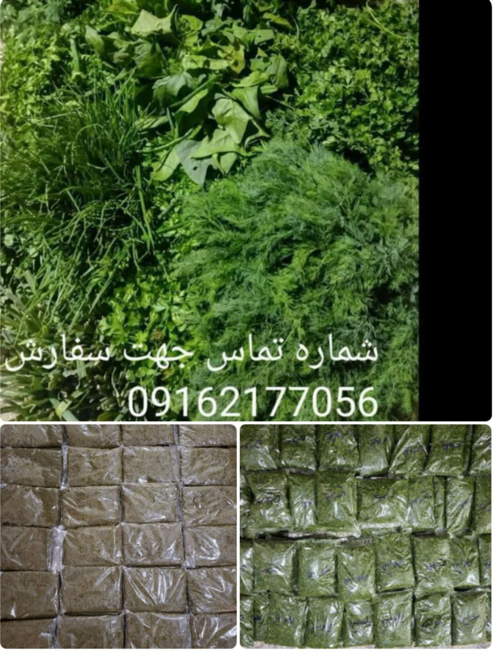عزیزانی که از شهرستان عشق آباد هستن، به درخواست زیاد مشتریان سفارشات ثبت میکنیم انشاالله تا آخر هفته یک روز رو به درخواست مشتریان عزیز جهت تحویل سبزی در خدمت عزیزان شهرستان عشق آباد خواهیم بود 🙏 🌸 ،سبزی خورشتی و کوکویی و پلویی و آشی با قیمت استثنایی فقط و فقط کیلویی 30000 تومان 😳😱😍😍😍مدت محدود 🌸🌸🌸 🌸 🌸سبزی خورشتی سرخ شده بسته بندی با نایلون سلفونی پرس شده کیلویی 180000تومان🌸 سبزی سوپی کیلویی 40000تومان کلی و جزئی عزیزان گروه توجه توجه شوید ، شویدجهت خشک کردن موجود هست فقط و فقط کیلویی 25000تومان سفارش بالای 50 کیلو ❤️ سبزی تازه خورشتی، کوکویی ، پلویی پاک کرده ‌خرد شده کیلویی90000تومان ، بسته بندی با نایلون سلفونی پرس شده کیلویی 100000 تومان سبزی سوپی خرد شده 80000 تومان سبزی بسته کوچک هم بخوان سفارش بالا جمع میکنیم 😍 سبزی خورشتی ، کوکویی، آشی پاک کرده کیلویی 90000 تومان جهت سفارش درمحصولات کشاورزی مزرعه https://eitaa.com/joinchat/1447429111C8244e3bebe شماره تماس جهت هماهنگی 09162177056 خانم بدرام @eshkabar